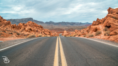 vegas-p2-2022-nature-20