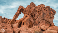 vegas-p2-2022-nature-22