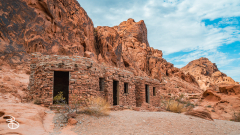 vegas-p2-2022-nature-26