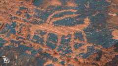 vegas-p2-2022-nature-29