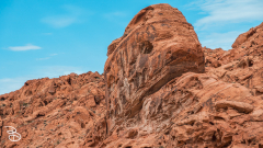 vegas-p2-2022-nature-31
