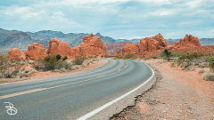 vegas-p2-2022-nature-34