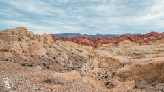 vegas-p2-2022-nature-36