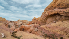 vegas-p2-2022-nature-38