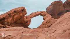 vegas-p2-2022-nature-39