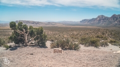 las-vegas-2022-12 las-vegas-2022-12