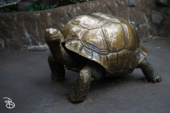 minnesota-zoo-062025-3