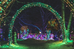 winter_wonderland_2019-1