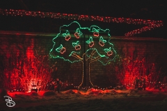 winter_wonderland_2019-11