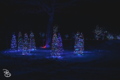 winter_wonderland_2019-12