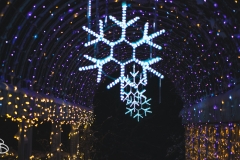 winter_wonderland_2019-13