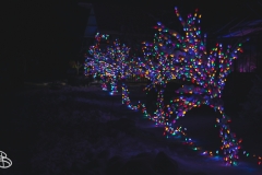 winter_wonderland_2019-15