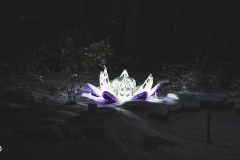 winter_wonderland_2019-16