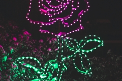 winter_wonderland_2019-18