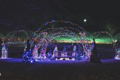 winter_wonderland_2019-19