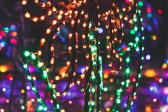 winter_wonderland_2019-2
