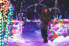 winter_wonderland_2019-3