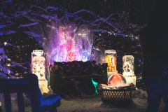 winter_wonderland_2019-4