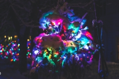 winter_wonderland_2019-5