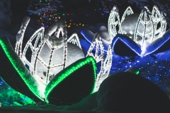 winter_wonderland_2019-6