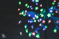 winter_wonderland_2019-9