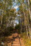 north-shore-2025-24