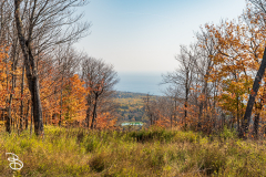 north-shore-2025-8