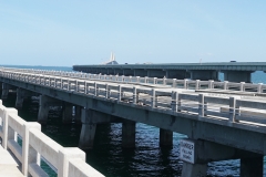 orlando_2017 (30 of 63)