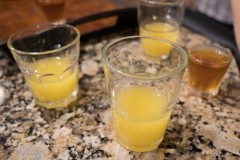 orlando_2017 (5 of 63)