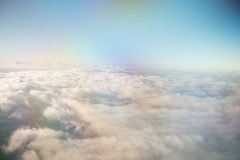 orlando_2017 (61 of 63)