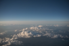 orlando_2017 (63 of 63)