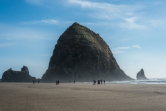 oregon-2017-d3-1