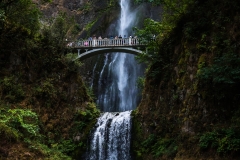 oregon-2017-d4-2