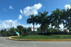 Photo taken right after we left the airport when we arrived on the Jan. 10th.