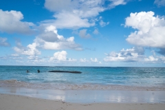 Beautiful day on the beach!