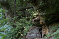 Rocky Arbor State Park