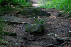 Rocky Arbor State Park