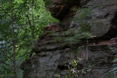 Rocky Arbor State Park