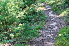 Rocky Arbor State Park
