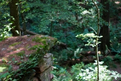 Rocky Arbor State Park Rocky Arbor State Park