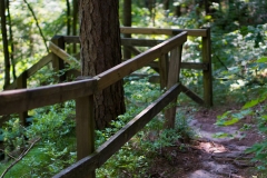 Rocky Arbor State Park