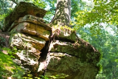 Rocky Arbor State Park