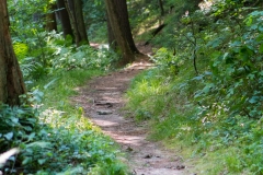 Rocky Arbor State Park