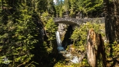 seattle_2022-mt_rainier-10
