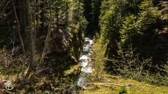 seattle_2022-mt_rainier-11