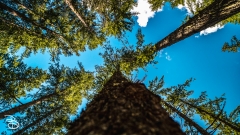 seattle_2022-mt_rainier-18