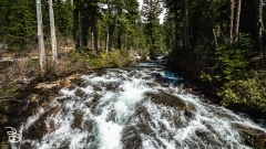 seattle_2022-mt_rainier-2