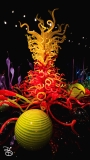 seattle_2022-seattle_museums-32 seattle_2022-seattle_museums-32