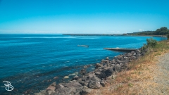 seattle_2022-olympic_np-11 seattle_2022-olympic_np-11