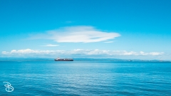 seattle_2022-olympic_np-12 seattle_2022-olympic_np-12